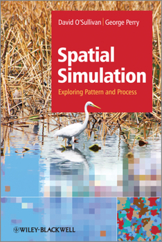 Paperback Simulating Pattern and Process Book