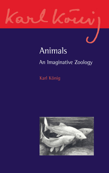 Paperback Animals: An Imaginative Zoology Book