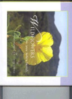 Hardcover Wildflowers of the Santa Barbara Foothills Book
