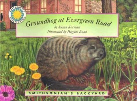 Paperback Groundhog at Evergreen Road Book