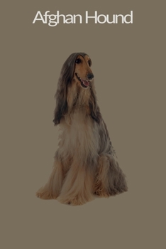 Paperback Afghan Hound: 120 Page Unlined (6 x 9 inches) Afghan Hound Notebook with More Afghan Hounds Inside! Book