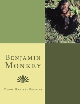 Paperback Benjamin Monkey Book