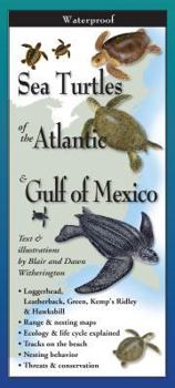 Poster Sea Turtles of the Atlantic & Gulf of Mexico Book