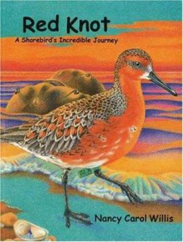 Paperback Red Knot: A Shorebird's Incredible Journey Book