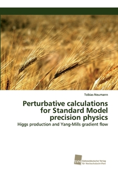 Paperback Perturbative calculations for Standard Model precision physics [German] Book