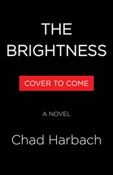 Hardcover The Brightness Book
