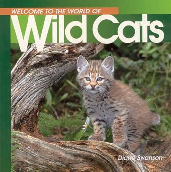 Paperback Welcome to the World of Wild Cats Book