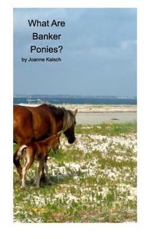 Paperback What Are Banker Ponies?: The Horses of Shackleford Banks Book