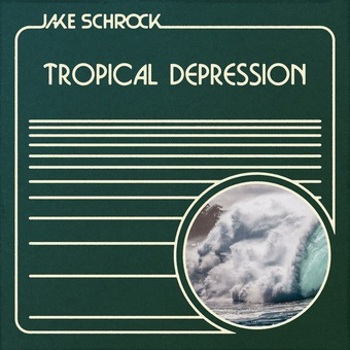 Vinyl Tropical Depression Book