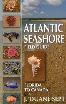 Paperback Atlantic Seashore Field Guide: Florida to Canada Book