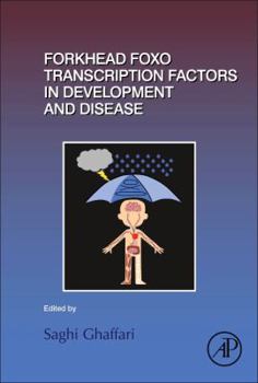 Hardcover Forkhead Foxo Transcription Factors in Development and Disease: Volume 127 Book