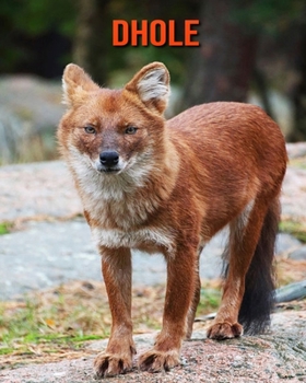 Paperback Dhole: Amazing Photos & Fun Facts Book About Dhole For Kids Book