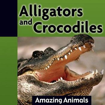 Library Binding Alligators and Crocodiles Book