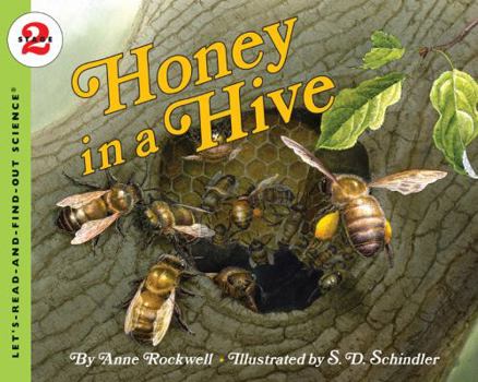 Paperback Honey in a Hive Book