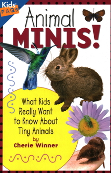 Paperback Animal Minis: What Kids Really Want to Know about Tiny Animals Book