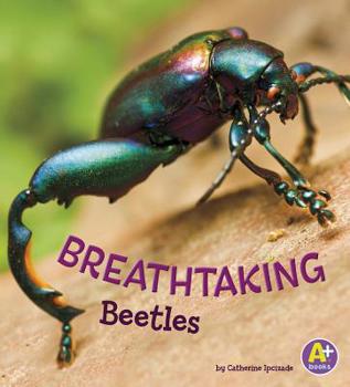 Hardcover Breathtaking Beetles Book