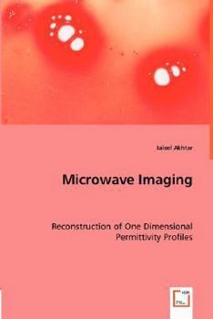 Paperback Microwave Imaging Book