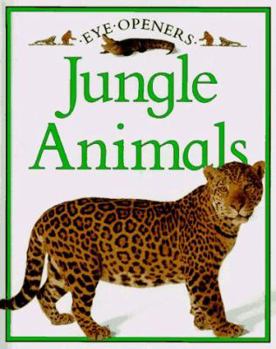 Board book Jungle Animals Book
