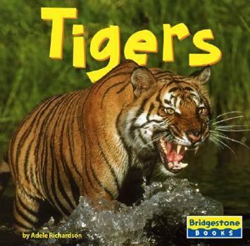 Library Binding Tigers Book