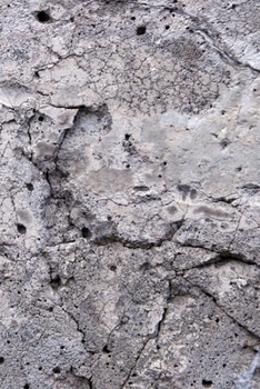 Happy Birthday Book: Happy Birthday Gifts Lined Journal Notebook  (14)  | Journal For Women, Friend Coworker  Birthday Gifts | Funny Gag Gift | Funny ... | 21 Birthday Gag Gifts For Best Friend)