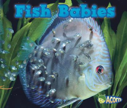 Paperback Fish Babies Book