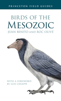 Paperback Birds of the Mesozoic Book