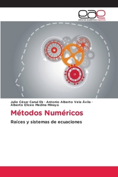 Paperback Métodos Numéricos [Spanish] Book