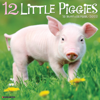 Calendar 12 Little Piggies 2022 Wall Calendar Book