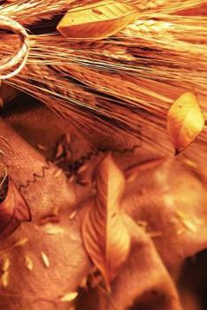 Paperback Autumn Harvest Wheat 2 Notebook Book