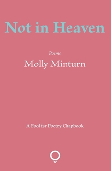 Paperback Not in Heaven Book