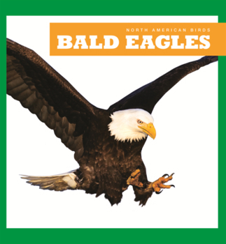 Library Binding Bald Eagles Book