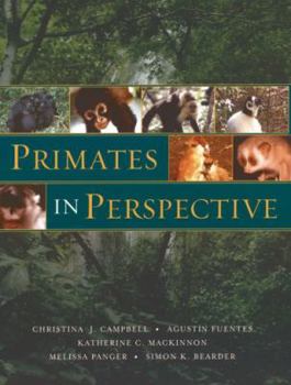 Paperback Primates in Perspective Book