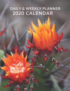 Paperback 2020 Planner, Year Daily Weekly Calendar Planner with Cactus Flower: To Do List, Weekly Action Plan Agenda, Schedule Organizer for Students, Home and Book