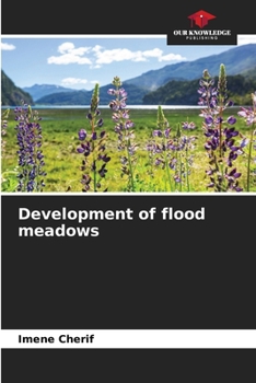 Paperback Development of flood meadows Book
