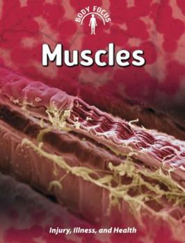 Muscles - Book  of the Body Focus