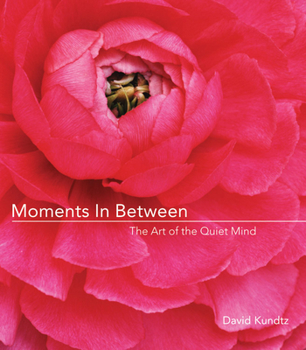 Hardcover Moments in Between: The Art of the Quiet Mind (Daily Meditations; Inspiration Book for Women) Book
