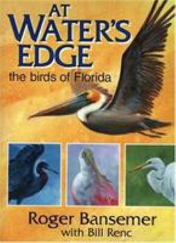 Hardcover At Water's Edge: The Birds of Florida Book