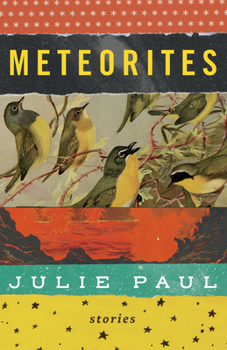 Paperback Meteorites: Stories Book