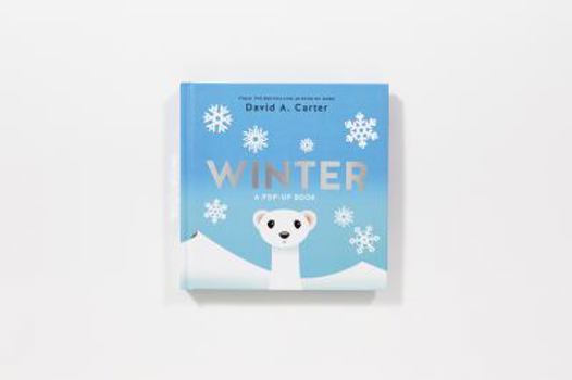 Hardcover Winter Book