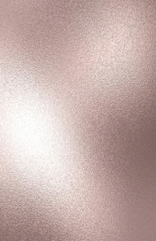 Paperback Dot Grid Journal Notebook: Blush Glam - Bullet Planner Book - Dotted Grid - 5.5 X 8.5" 120 Pg - DIY Weekly Spread - Organizer - Habit Tracker- Gi Book