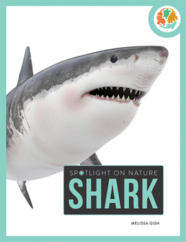 Paperback Shark Book