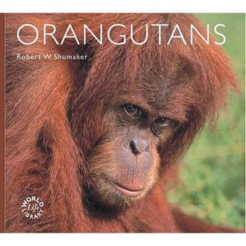 Paperback Orangutans (World Life Library) Book