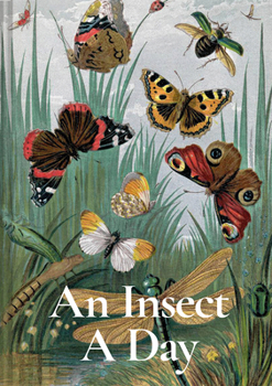Hardcover An Insect a Day Book