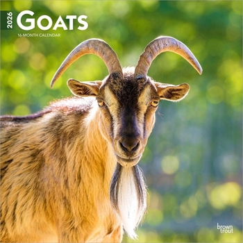 Calendar Goats | 2026 12 x 24 Inch (Hanging) Monthly Square Wall Calendar | Plastic-Free | BrownTrout | Domestic Farm Animals Book
