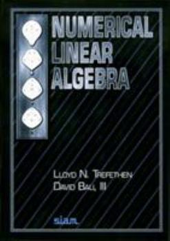 Paperback Numerical Linear Algebra Book