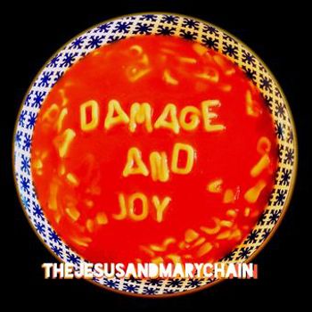 Vinyl Damage and Joy Book