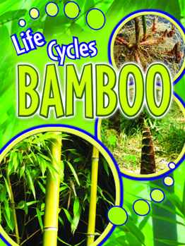 Paperback Bamboo Book