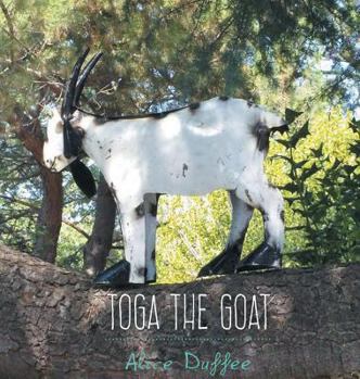 Hardcover Toga the Goat Book