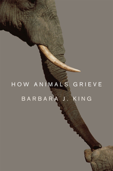 Hardcover How Animals Grieve Book