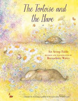 Hardcover The Tortoise and the Hare Book